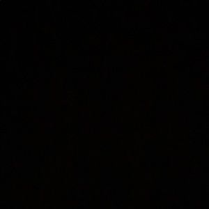 Meet your Posher, Logan